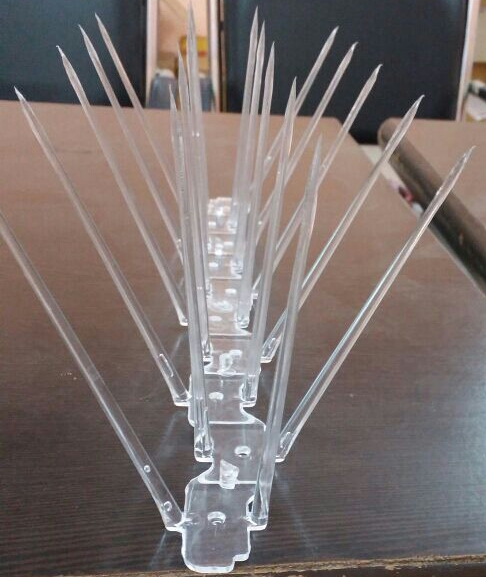 Stainless steel bird spikes fixed on a ledge